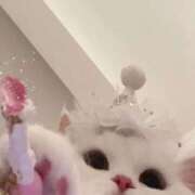 ヒメ日記 2025/12/30 22:05 投稿 まろん 池袋マリン別館