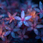 ヒメ日記 2026/01/18 01:19 投稿 万里佳-まりか 熟女10000円デリヘル 川崎