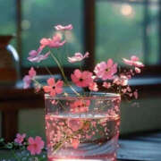 ヒメ日記 2026/01/20 20:06 投稿 万里佳-まりか 熟女10000円デリヘル 川崎