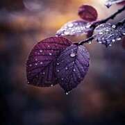 ヒメ日記 2025/12/13 22:38 投稿 万里佳-まりか 熟女10000円デリヘル横浜