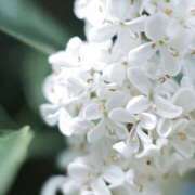 ヒメ日記 2025/12/16 17:08 投稿 万里佳-まりか 熟女10000円デリヘル横浜