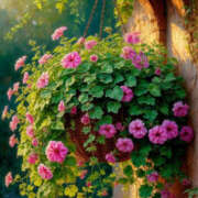 ヒメ日記 2025/12/25 16:09 投稿 万里佳-まりか 熟女10000円デリヘル横浜