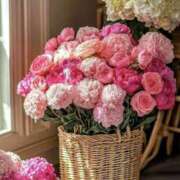 ヒメ日記 2025/12/26 00:42 投稿 万里佳-まりか 熟女10000円デリヘル横浜