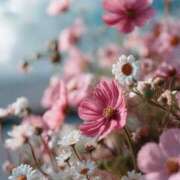 ヒメ日記 2025/12/30 13:35 投稿 万里佳-まりか 熟女10000円デリヘル横浜