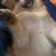 ヒメ日記 2025/12/11 02:37 投稿 みく とある風俗店♡やりすぎさーくる新宿大久保店♡で色んな無料オプションしてみました