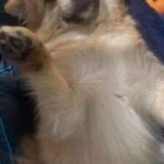 ヒメ日記 2025/12/11 02:48 投稿 みく とある風俗店♡やりすぎさーくる新宿大久保店♡で色んな無料オプションしてみました