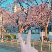 ヒメ日記 2026/03/08 18:30 投稿 むつき つまみぐいイケちゃいますよ！