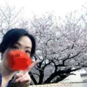 ヒメ日記 2026/04/08 17:03 投稿 むつき つまみぐいイケちゃいますよ！