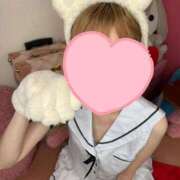 ヒメ日記 2025/11/16 00:45 投稿 しおん 子猫カフェ 小倉店