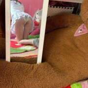 ヒメ日記 2025/11/18 01:30 投稿 しおん 子猫カフェ 小倉店