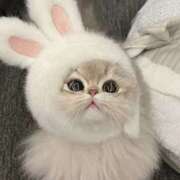 ヒメ日記 2025/11/19 16:44 投稿 あんな ミルキーラテ