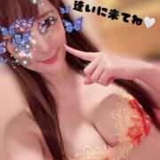 ヒメ日記 2025/11/25 19:02 投稿 春風 のどか☆2 TiAmo（ティアモ）