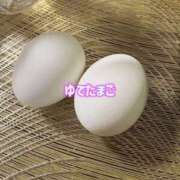 ヒメ日記 2026/02/18 22:33 投稿 りお ルーフ大阪