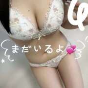 ヒメ日記 2026/02/23 17:23 投稿 りお ルーフ大阪