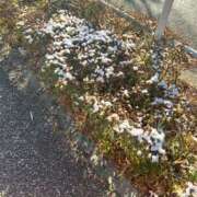 ヒメ日記 2026/01/03 09:21 投稿 早瀬こゆき 全裸にされた女たちor欲しがり痴漢電車