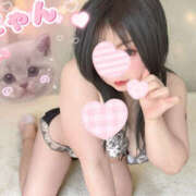 ヒメ日記 2026/03/12 16:05 投稿 うた 栃木宇都宮ちゃんこ