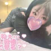 ヒメ日記 2026/03/12 23:55 投稿 うた 栃木宇都宮ちゃんこ