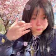 ヒメ日記 2026/03/15 16:45 投稿 うた 栃木宇都宮ちゃんこ