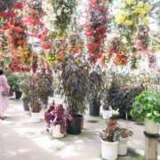 ヒメ日記 2026/04/17 11:55 投稿 うた 栃木宇都宮ちゃんこ