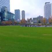 ヒメ日記 2025/12/09 10:48 投稿 めいこ 熟女の風俗最終章 沼津店