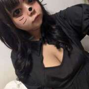 ヒメ日記 2025/11/18 09:17 投稿 あずき 福盛