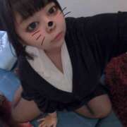 ヒメ日記 2025/11/22 20:29 投稿 あずき 福盛