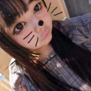 ヒメ日記 2025/11/26 12:59 投稿 あずき 福盛