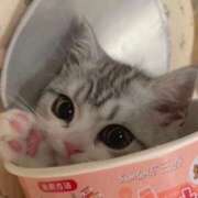 ヒメ日記 2025/11/25 16:19 投稿 にゃんペロ 奴隷志願！変態調教飼育クラブ本店