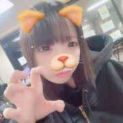 ヒメ日記 2025/12/17 11:02 投稿 にゃんペロ 奴隷志願！変態調教飼育クラブ本店