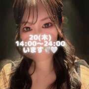 ヒメ日記 2025/11/20 12:31 投稿 ぐみ ハピネス東京