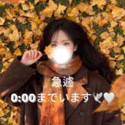 ヒメ日記 2025/12/10 20:12 投稿 ぐみ ハピネス東京