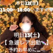 ヒメ日記 2025/12/12 10:27 投稿 ぐみ ハピネス東京