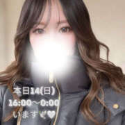 ヒメ日記 2025/12/14 08:17 投稿 ぐみ ハピネス東京