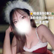 ヒメ日記 2025/12/24 13:24 投稿 ぐみ ハピネス東京