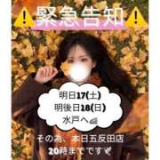 ヒメ日記 2026/01/16 15:07 投稿 ぐみ ハピネス東京