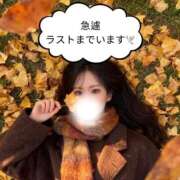 ヒメ日記 2026/01/22 18:25 投稿 ぐみ ハピネス東京