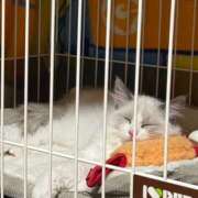 ヒメ日記 2026/01/30 16:47 投稿 ぐみ ハピネス東京