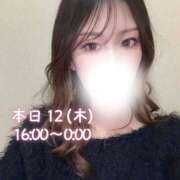 ヒメ日記 2026/02/12 14:17 投稿 ぐみ ハピネス東京