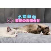 ヒメ日記 2026/02/12 17:48 投稿 ぐみ ハピネス東京