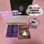 ヒメ日記 2026/02/14 03:07 投稿 ぐみ ハピネス東京