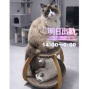 ヒメ日記 2026/02/16 19:57 投稿 ぐみ ハピネス東京