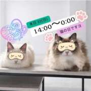 ヒメ日記 2026/02/22 12:46 投稿 ぐみ ハピネス東京