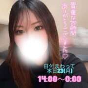 ヒメ日記 2026/02/23 01:47 投稿 ぐみ ハピネス東京