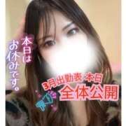 ヒメ日記 2026/02/24 07:47 投稿 ぐみ ハピネス東京