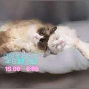 ぐみ お休み前、残り3日間です🕊 ハピネス東京