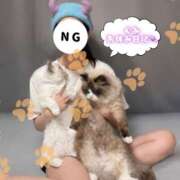 ヒメ日記 2026/03/04 12:37 投稿 ぐみ ハピネス東京