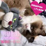 ヒメ日記 2026/03/16 16:27 投稿 ぐみ ハピネス東京