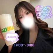 ヒメ日記 2026/03/28 13:51 投稿 ぐみ ハピネス東京