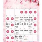 ヒメ日記 2026/03/29 17:07 投稿 ぐみ ハピネス東京