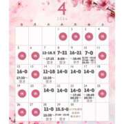 ヒメ日記 2026/04/03 19:17 投稿 ぐみ ハピネス東京